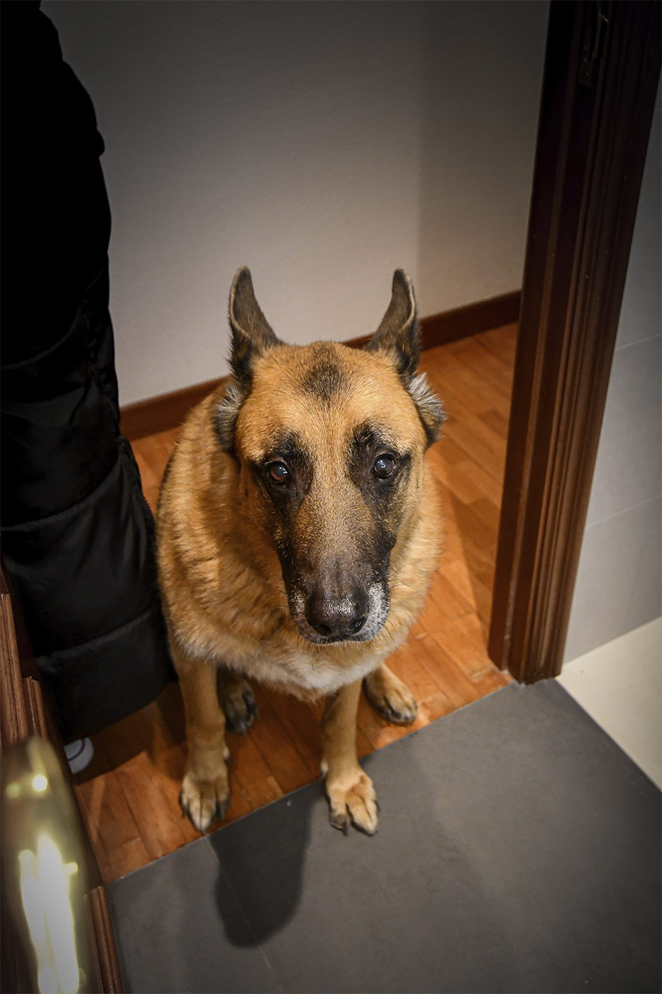 01_Sultán_Baño_reforma_2024VI