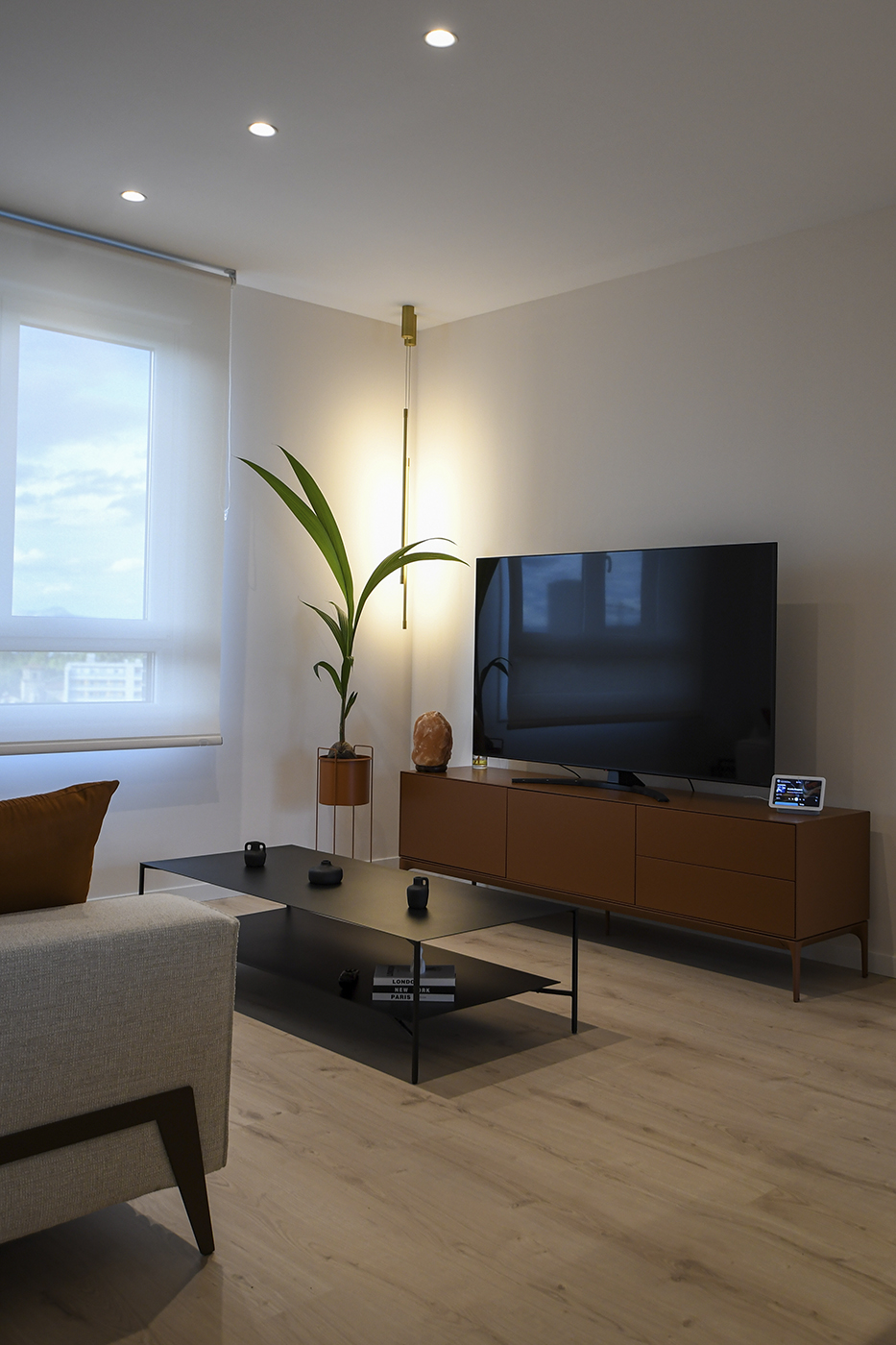 03_iliada_Salón_Obra nueva_2024VI