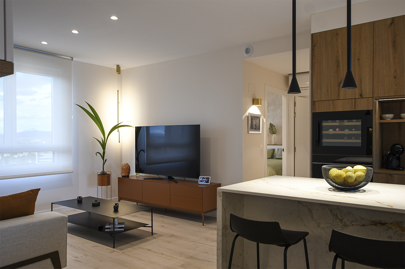 04_iliada_Salón_Obra nueva_2024VI