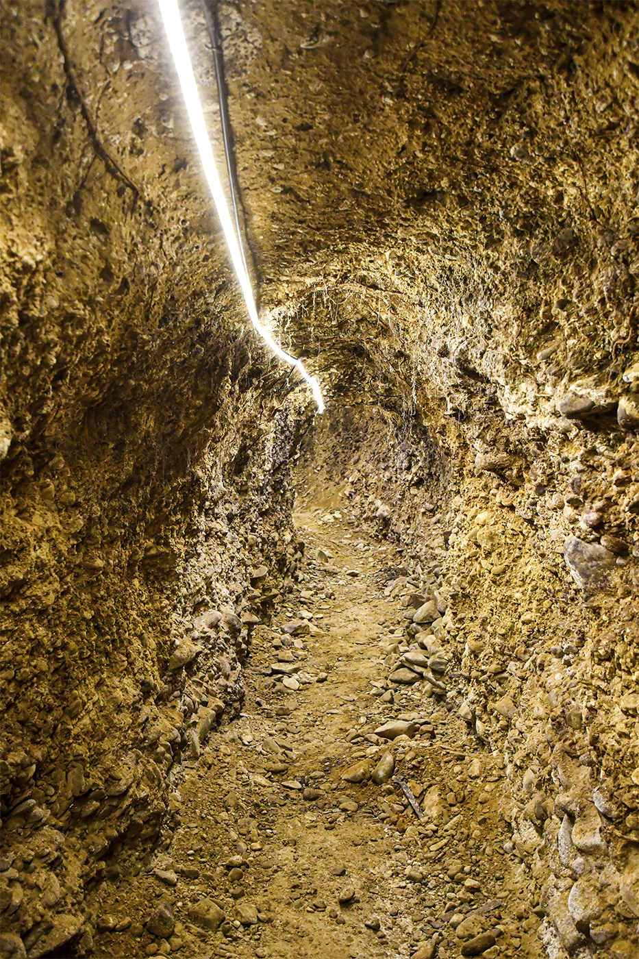 13_La cueva_Bodega_cueva_Reforma_2024LaRioja