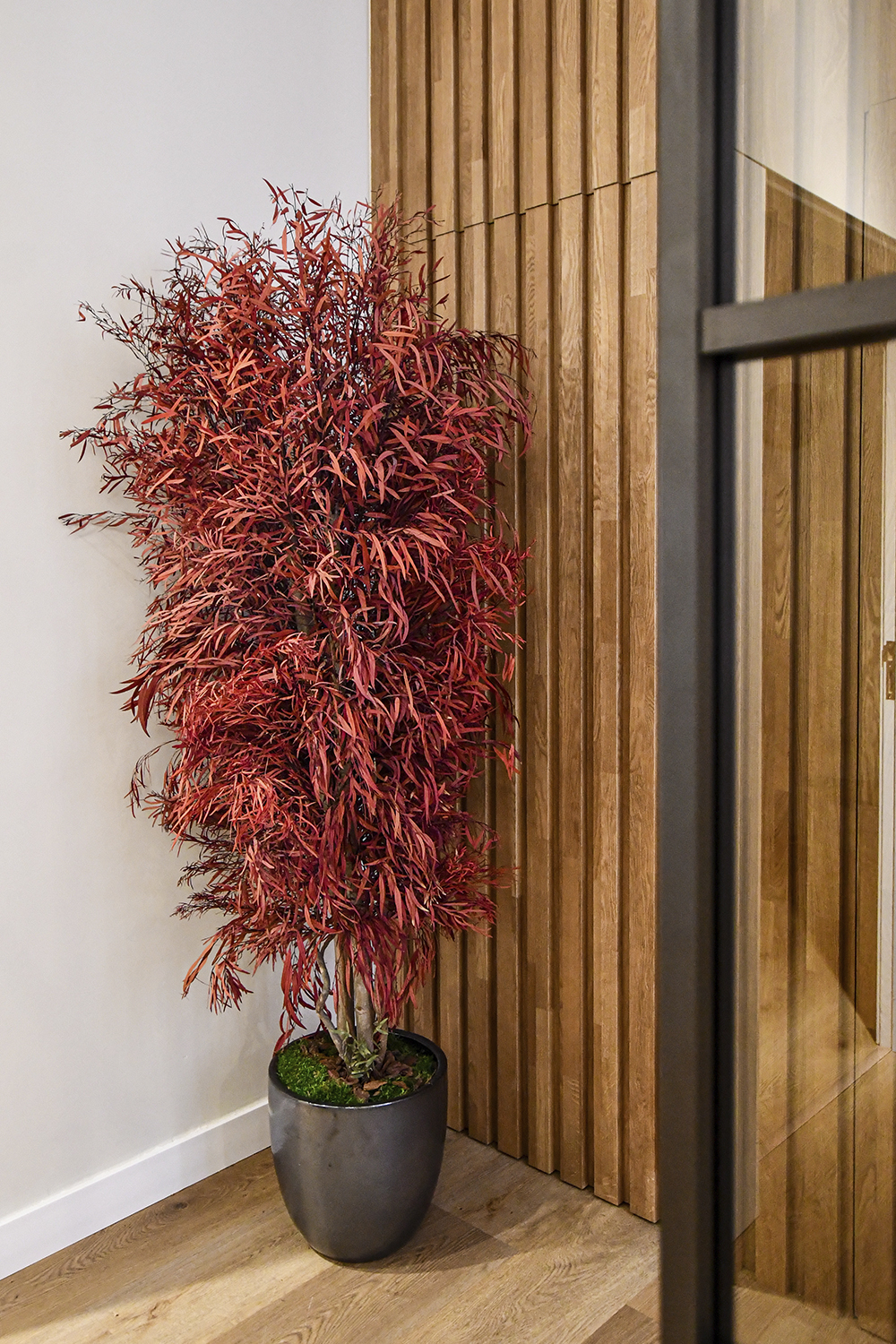 06_Decoración de Local_Juber_2024VI