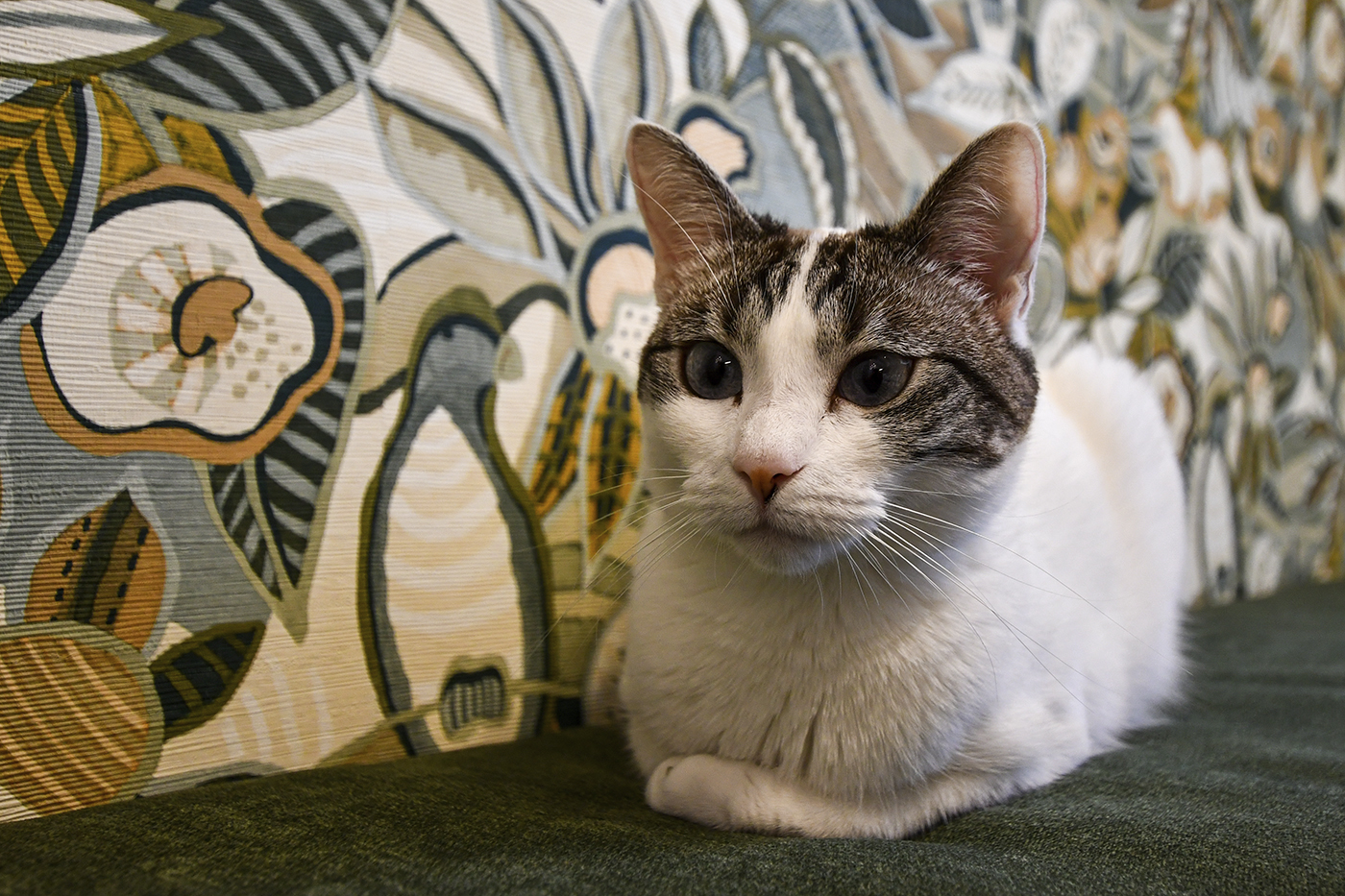 11.Cocina_Pipa&Dona – Barcelona (reforma)